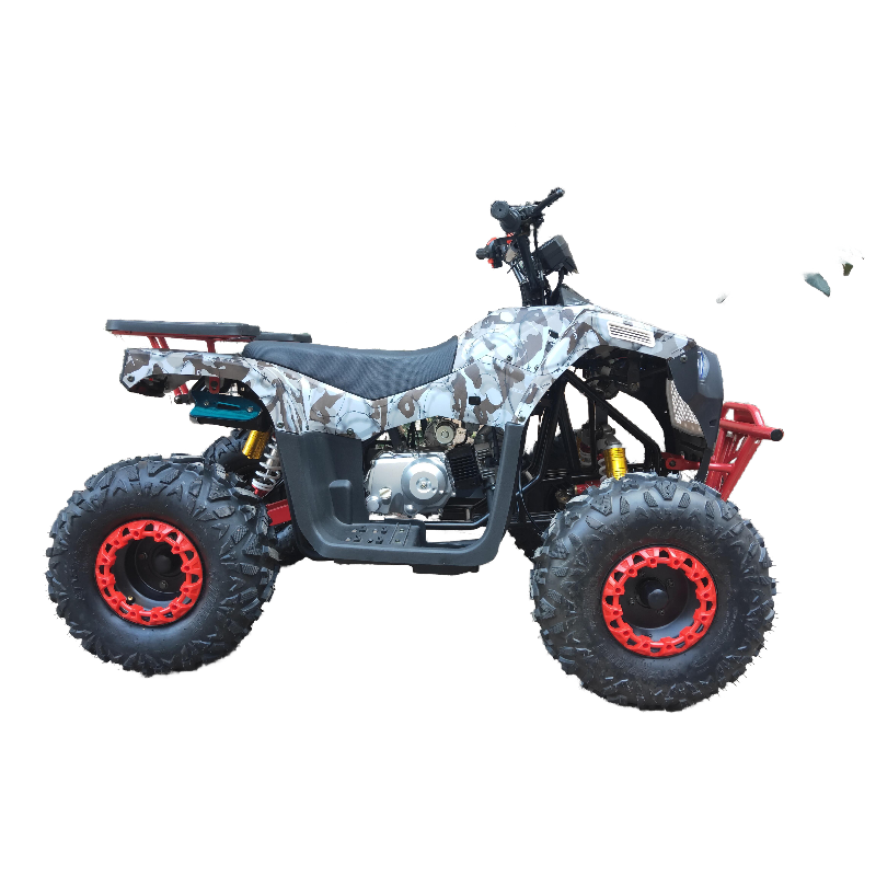 Factory directly 110CC/125CC ATV for adults ATV Quad for sale